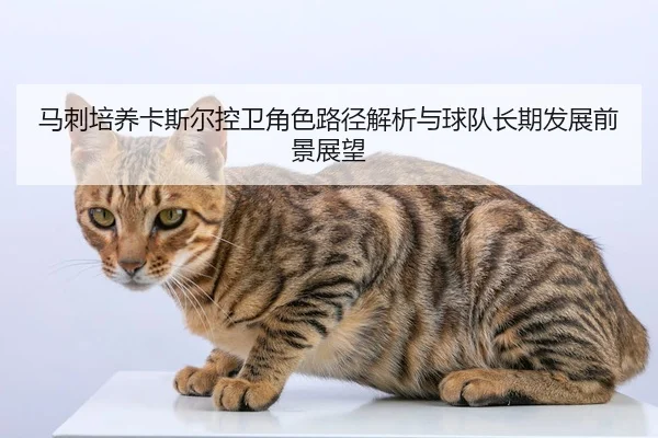 马刺培养卡斯尔控卫角色路径解析与球队长期发展前景展望