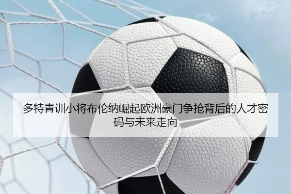多特青训小将布伦纳崛起欧洲豪门争抢背后的人才密码与未来走向